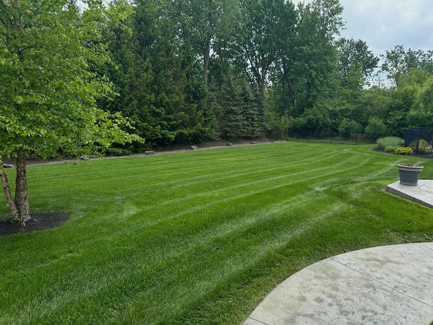 Residential Lawn