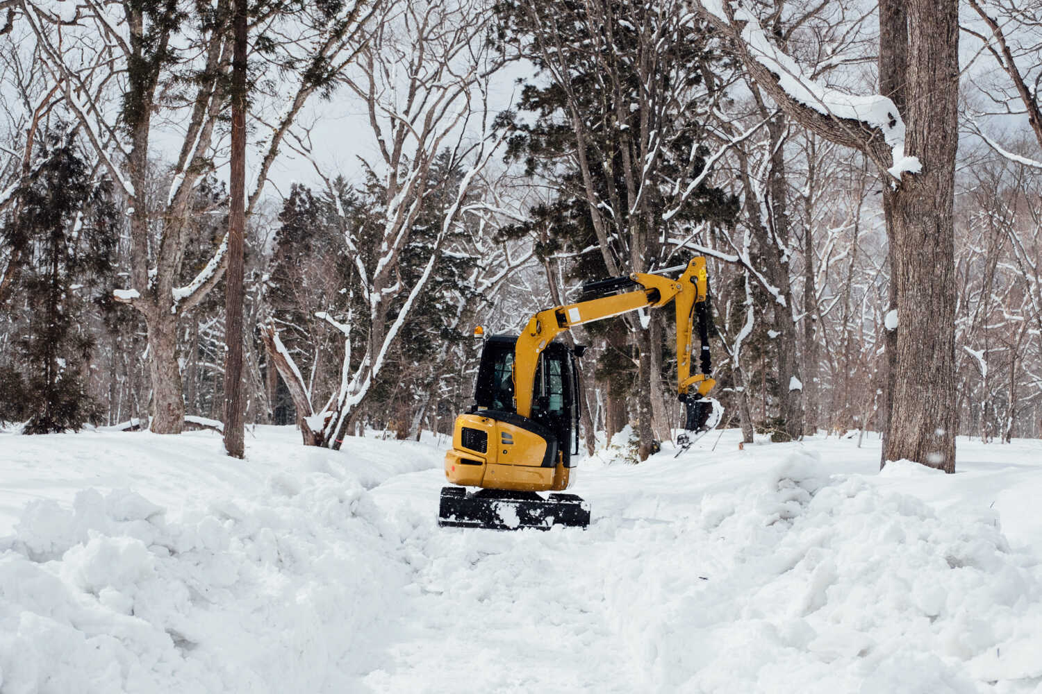 Loader
